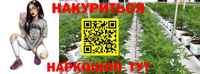 амф Бердск