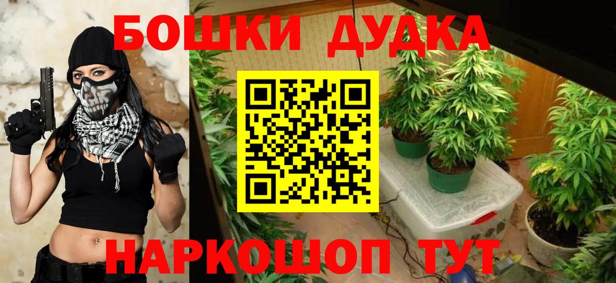Конопля планчик  Вход с VPN  Орехово-Зуево  Конопля индика  Шишки марихуана Bruce Banner 
